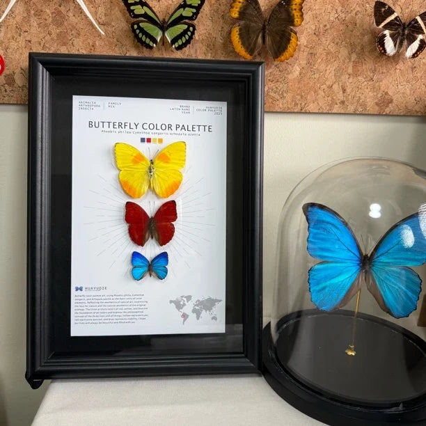 Three-color butterfly assemblage photo frame, creative gift for girlfriend, best friend and boyfriend, recommended home decoration creative gift
