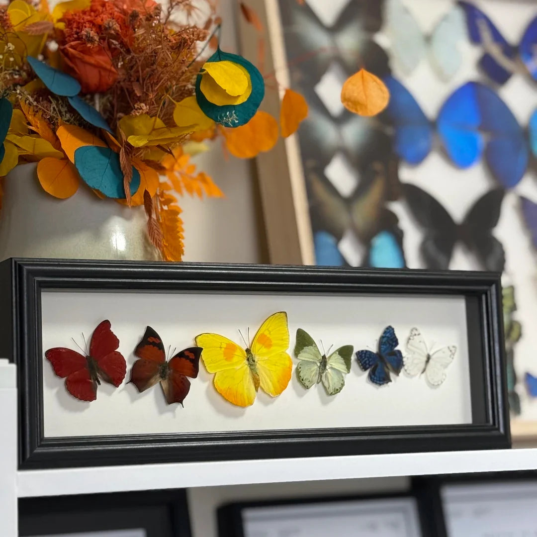"Six Colors of Mood" Real Butterfly Photo Frame Couple Gifts for Valentine's Day Creative Gifts for Girlfriends and Best Home Goods - image 2