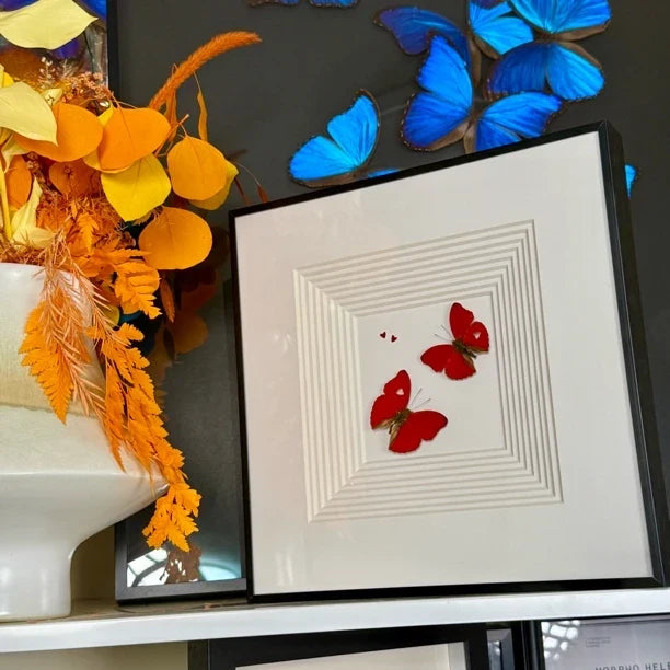 Blood-rippled butterflies flying together, butterfly specimens as birthday gifts for girlfriends and besties, butterfly photo frames for home use - image 4