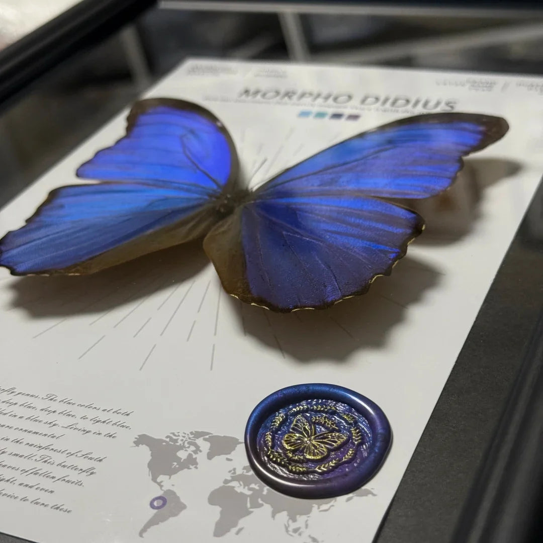 Big blue morpho butterfly didius premium light luxury butterfly decorative art to give Mother's Day gift, atmospheric and premium wall art - image 2