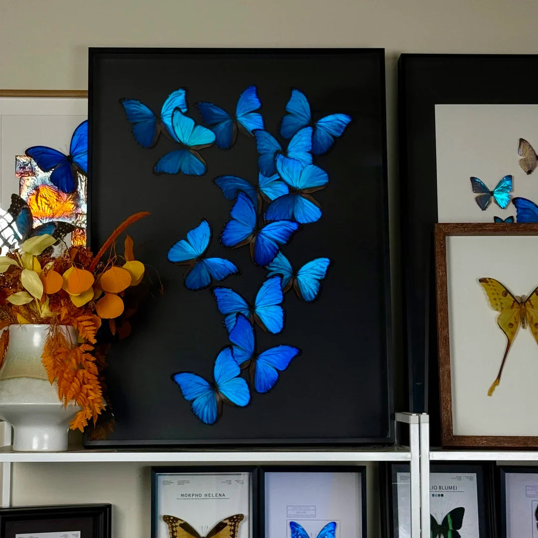 FLORAFLY "Blue Shadow" atmospheric butterfly new bedroom decoration painting living room wall art entrance premium wall art - image 1