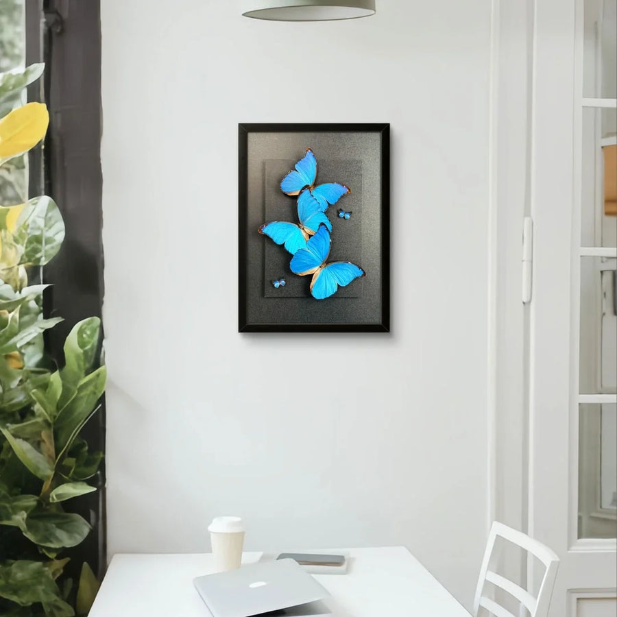 FLORAFLY "Blue Flash Trio" real butterfly decorative art living room shop hanging creative gift big blue morpho butterfly