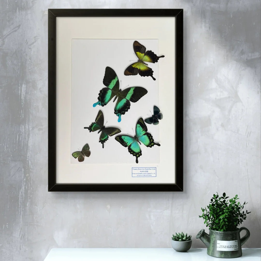 FLORAFLY "The Wizard of Oz" luxury-style butterfly assemblage vertical wood frame real butterfly specimen frame decorative art gift - image 4
