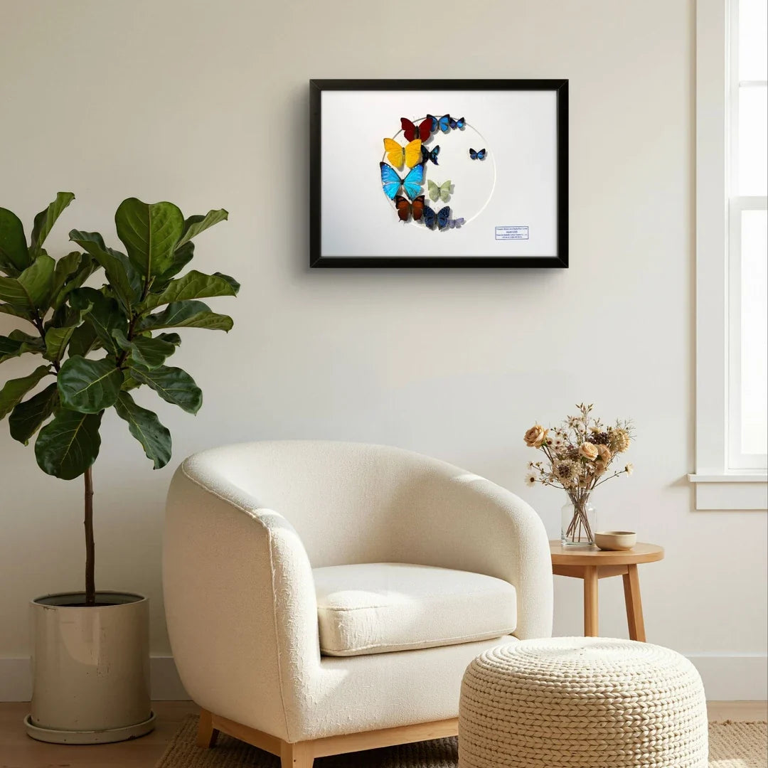 FLORAFLY "Colorful Wings Dream" real butterfly decorative art imported real butterfly specimen gift sofa background wall - image 3