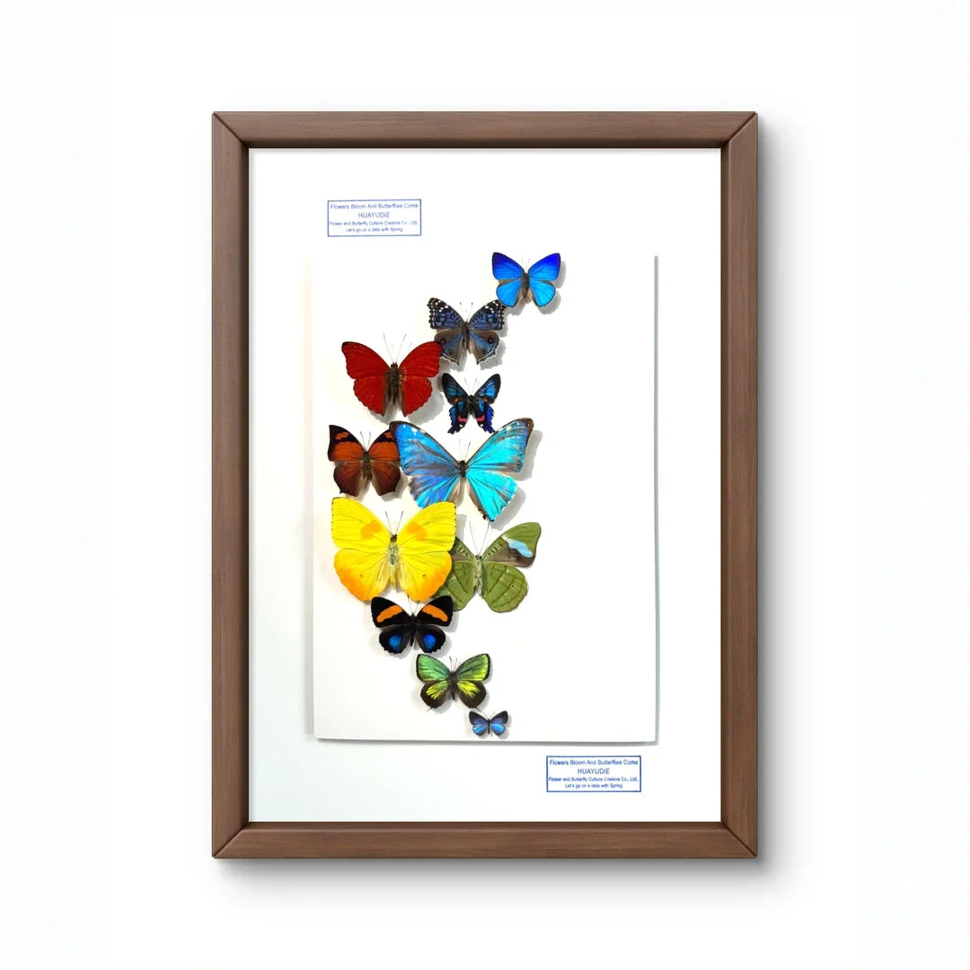 FLORAFLY "Flower Moon" Nordic style butterfly wall art vertical wood frame real butterfly specimen frame decorative art specimen gift - image 3