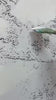 Landscape Canvas Art #LCA009 product video