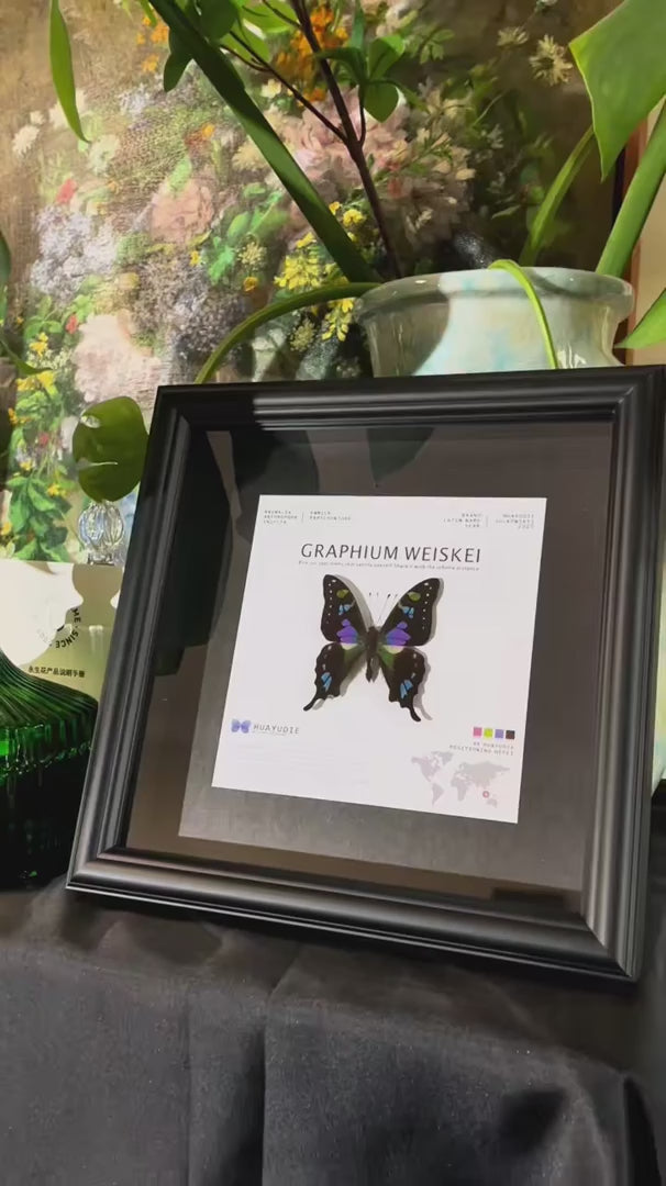 Rose Green Phoenix Butterfly Specimen Real Butterfly Birthday Girlfriend Best Friend Creative Gift Home Goods Fashion Specimen — FLORAFLY product video