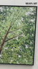 Big Green Textured Tree Painting Green Tree Textured Canvas Wall Art 3D Green Tree Acrylic Painting