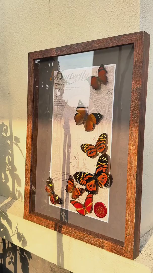 FLORAFLY "Autumn" real butterfly specimen porch decoration painting sofa living room shop wall art creative gift — FLORAFLY product video