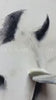Contemporary Horse Art #HA040 product video