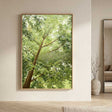 Landscape Canvas Art #LCA000