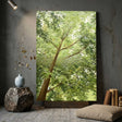 Landscape Canvas Art #LCA000